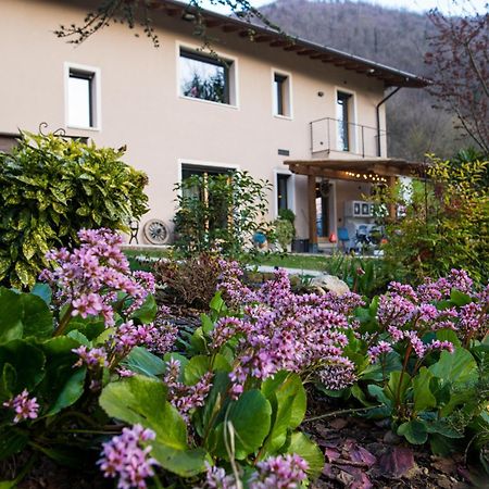Cascina Canale 사비오 치에세 외부 사진