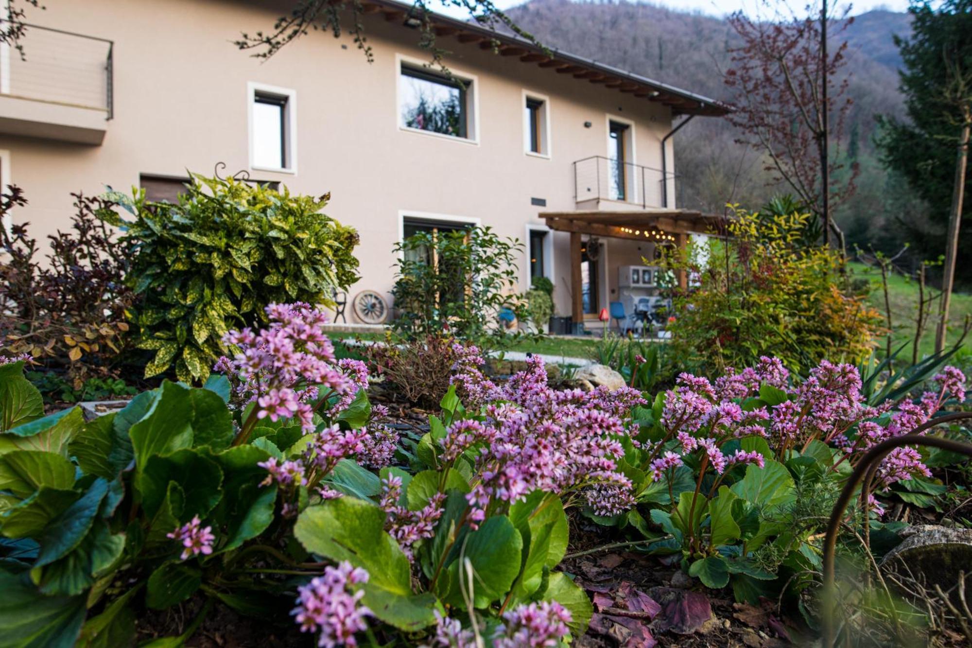 Cascina Canale 사비오 치에세 외부 사진