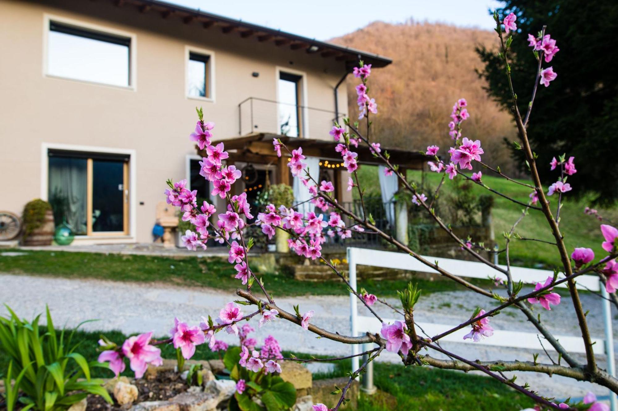 Cascina Canale 사비오 치에세 외부 사진